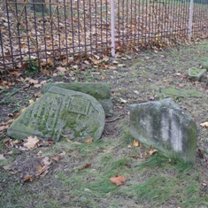 Cmentarz zydowski w Sandomierzu (fot. Michal Karski)